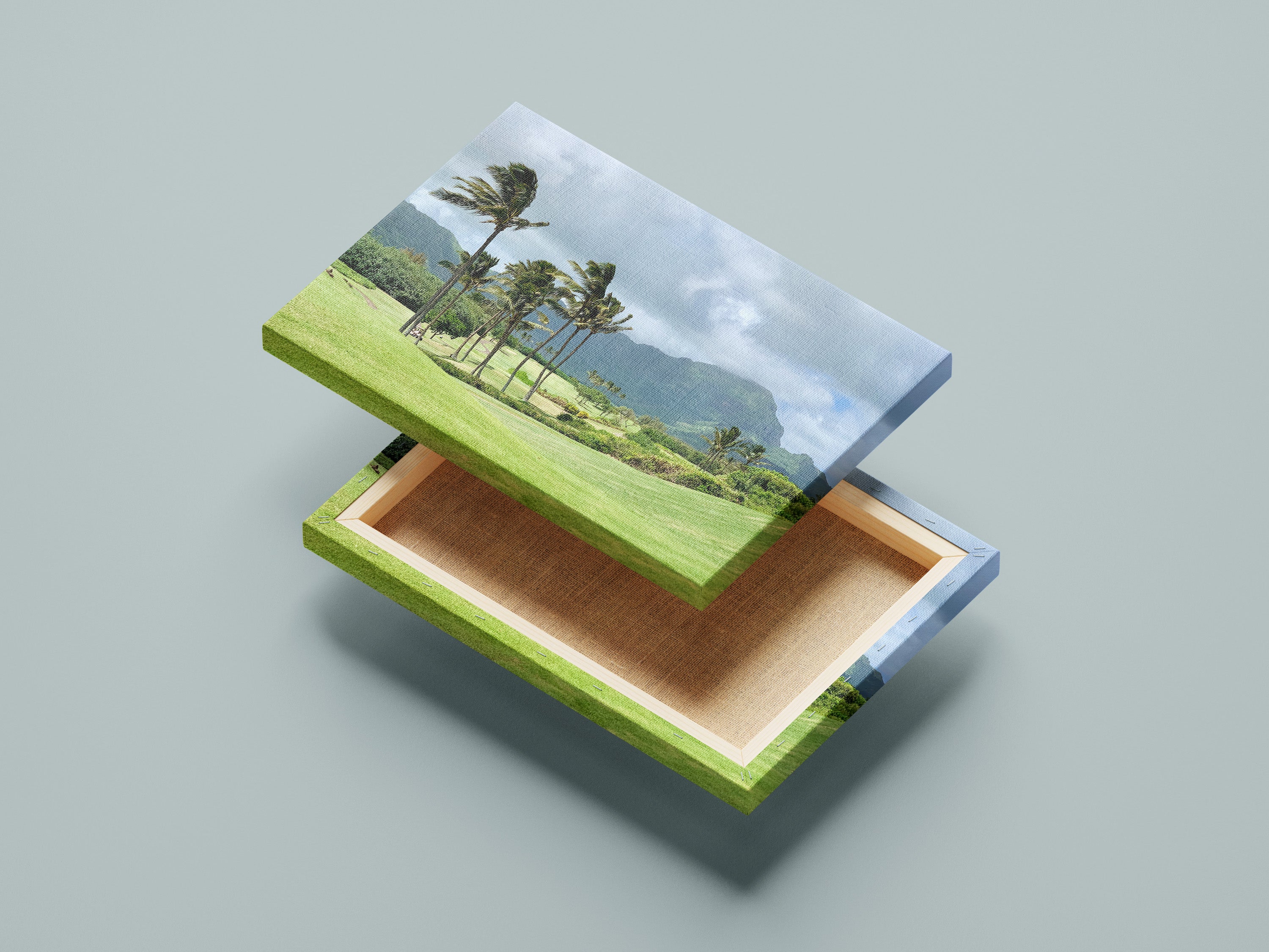 Tropical Fairway Canvas